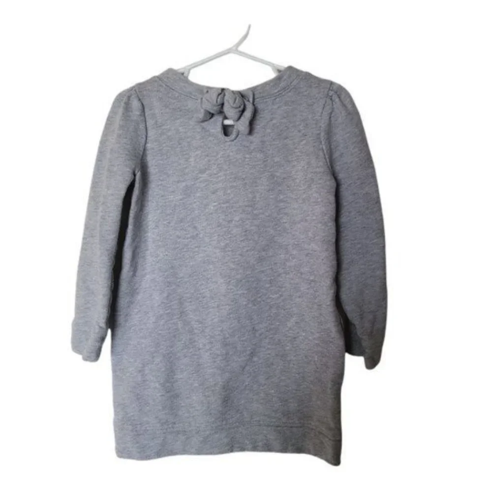 Gymboree Tunic Sweatshirt size 5 Years Girls Gray Embroidered Owl‎ Glitter